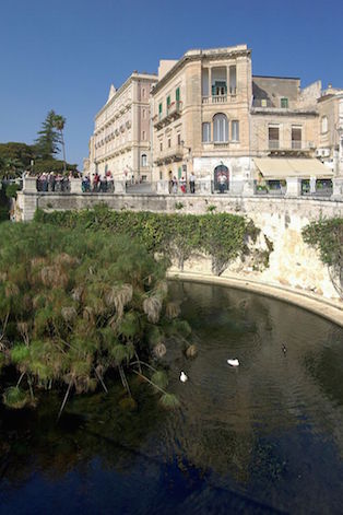 Mercato di Ortigia